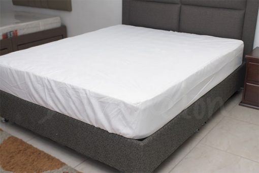 Base Estándar